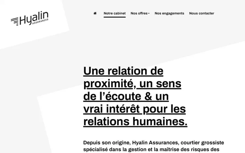 Hylain - Image principale - vue accueil